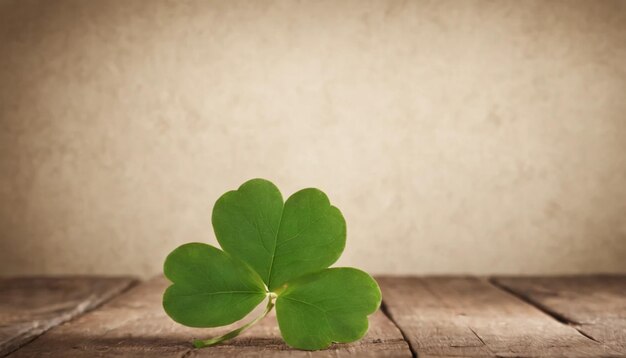 Groene klaverbladeren op houten achtergrond StPatricks Day Kopieer ruimte Bier Vakantie