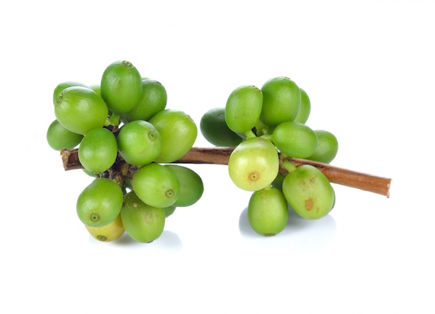 Groene koffie bonen geïsoleerd