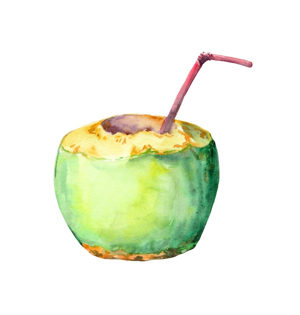 Foto groene kokosnoot met cocktailstro. waterverf