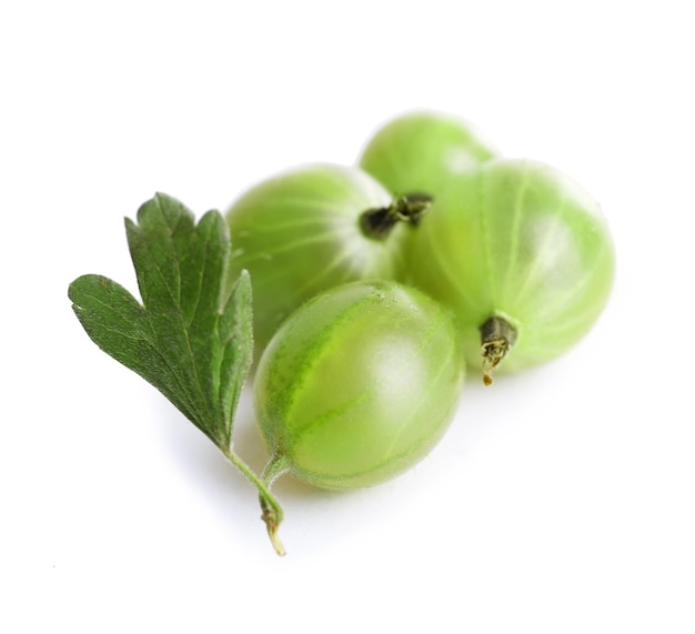 Groene kruisbes geïsoleerd op wit