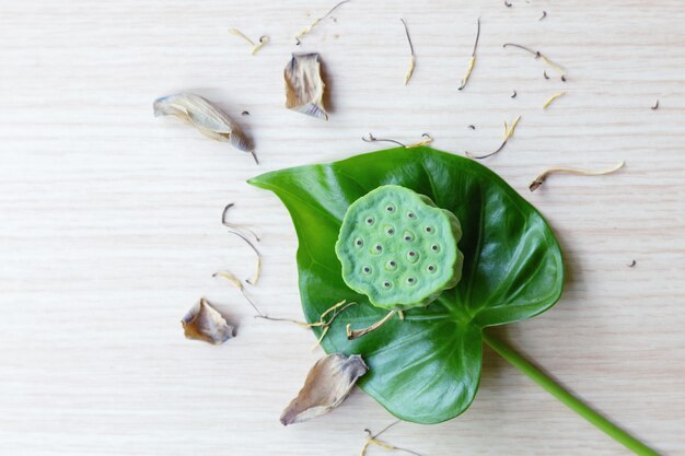 Groene lotus op houten tafel