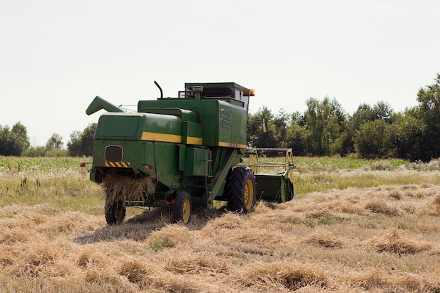 Groene maaidorsermachine in het veld