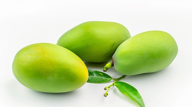 Groene mango tropische vrucht op witte achtergrond