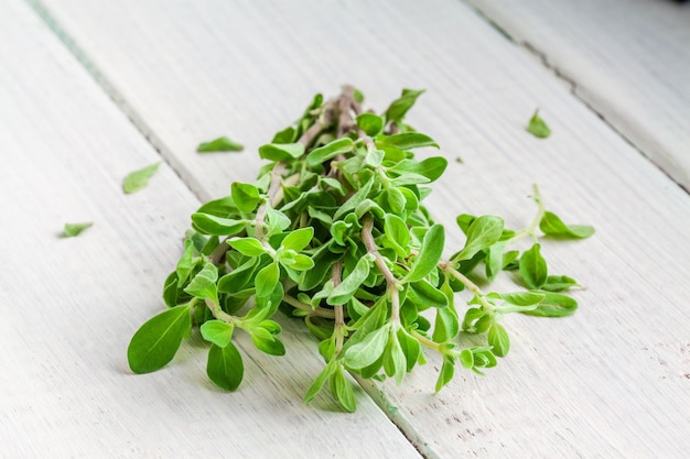 Groene marjolein kruid bladeren op een witte houten achtergrond