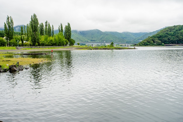 groene meerochtend in Japan