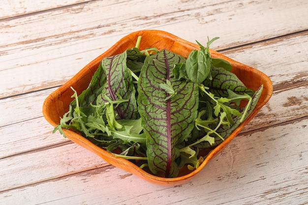 Groene mix veganistische saladesnack in de kom