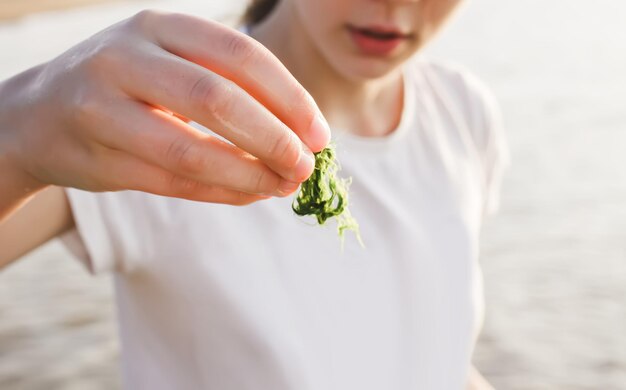 Groene mos en waterplanten in de hand van een kind op zee achtergrond