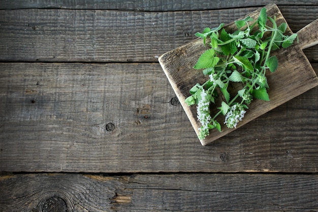 Groene munt houten achtergrond