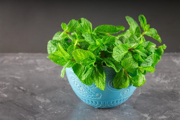 Groene munt in een blauwe kom op een grijze achtergrond