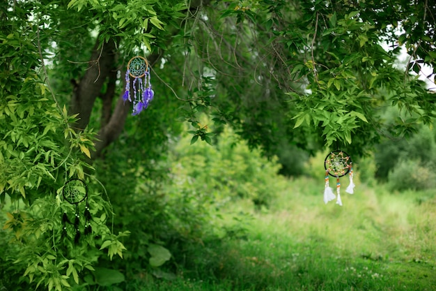 Groene natuur achtergrond, ideaal voor tekst