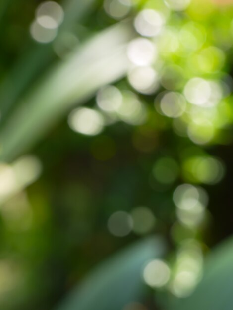 Foto groene natuur bokeh abstracte achtergrond