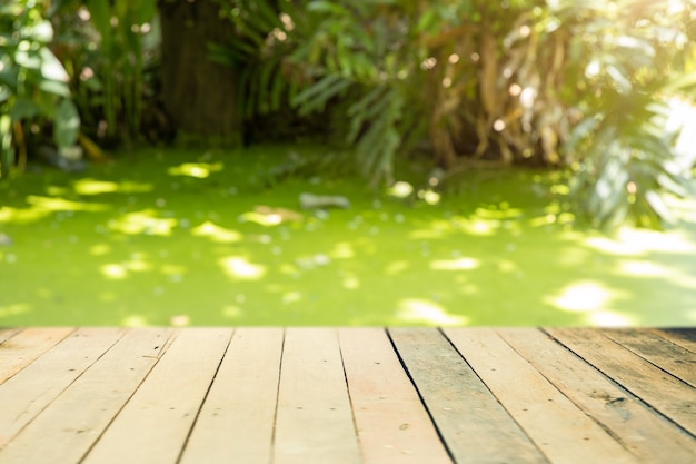 Groene natuur moeras vervagen met houten waterkant voor product reclame montage achtergrond