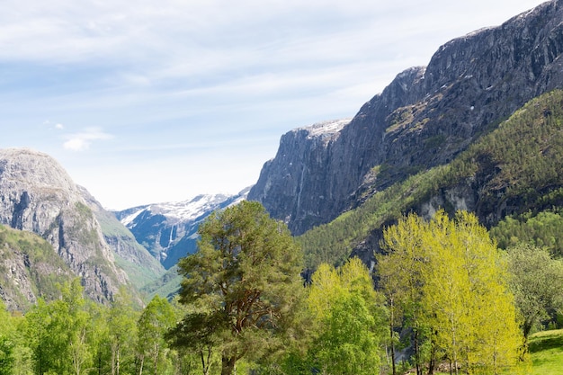 Groene natuur tussen hoge bergen in Noorwegen