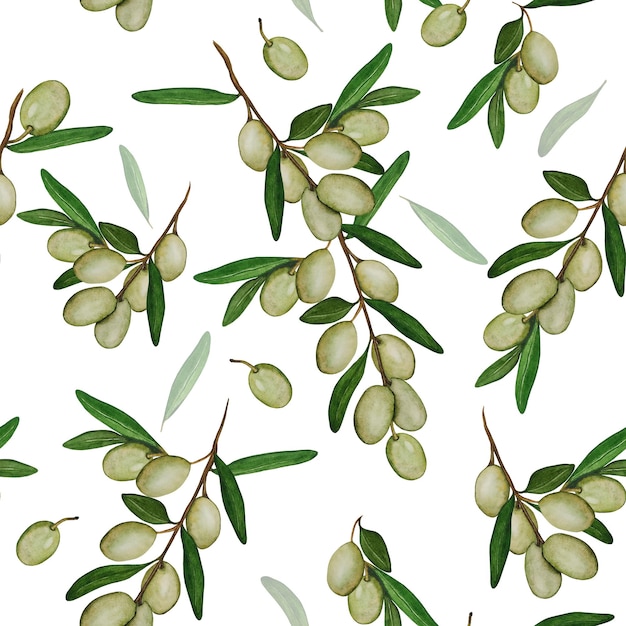 Foto groene olijven op een tak met bladeren. naadloze aquarel achtergrond. olijf takken.