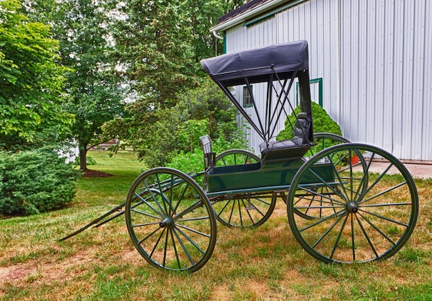 Groene paard en wagen