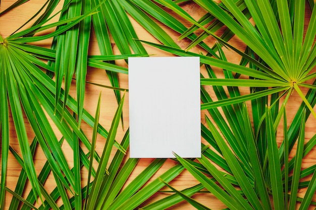 Groene palmtakken op de houten tafel. Ecologische kaart met palmbladeren en wit papier in het midden voor tekst.