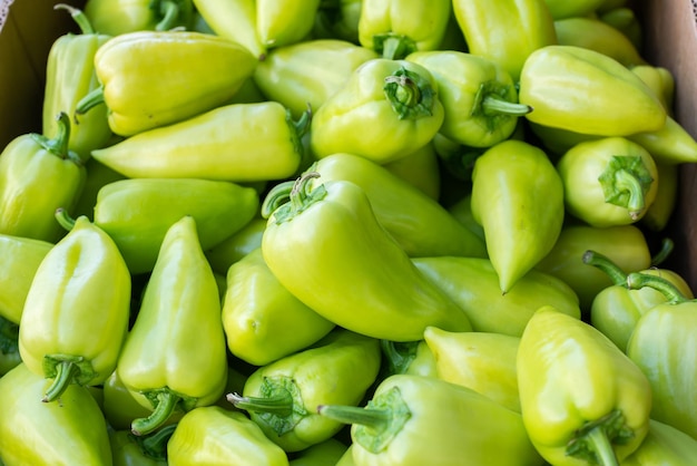 Groene paprika bovenaanzicht in de winkel Patroonachtergrond