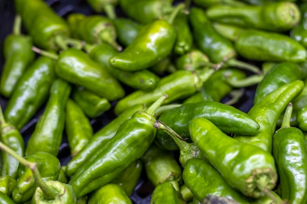 Groene paprika's om te frituren Gezonde voeding