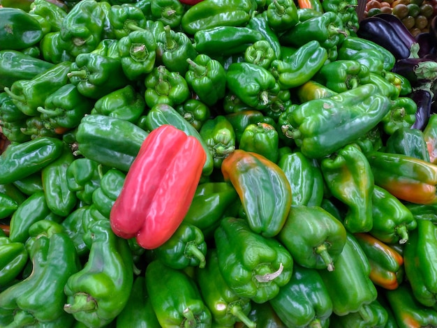 Groene paprika textuur met een rode paprika in het midden