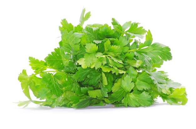 Groene peterselie