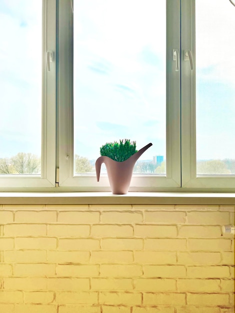 Groene plant op een vensterbank lavendelstruik in een pot Pot in de vorm van een gieter creatief