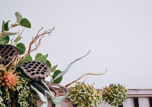 Groene plant op een witte achtergrond voor een visitekaartje