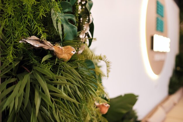 Groene planten aan de muur in het interieur van de kamer. Verticale groene tuin in een kamer met een zittende vogel op het gebladerte.