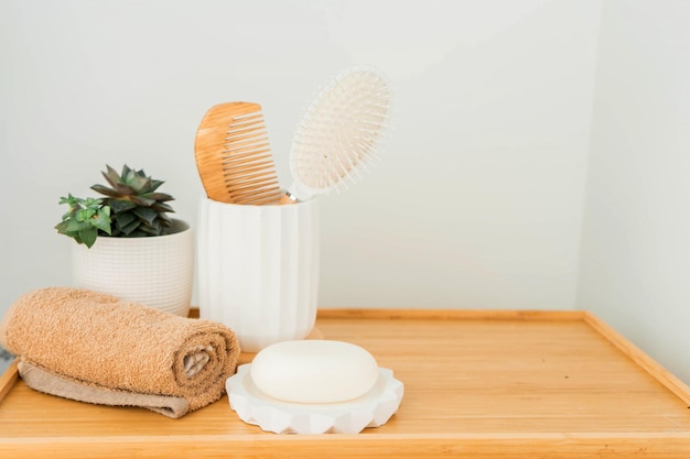 Groene planten in de badkamer. milieuvriendelijk leven. zero waste