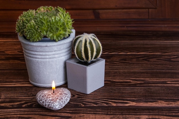 Groene planten in grijze bloempotten op een houten ondergrond