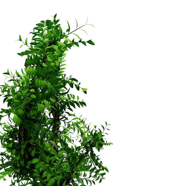 Groene planten veren blad op transparante plantenelementen
