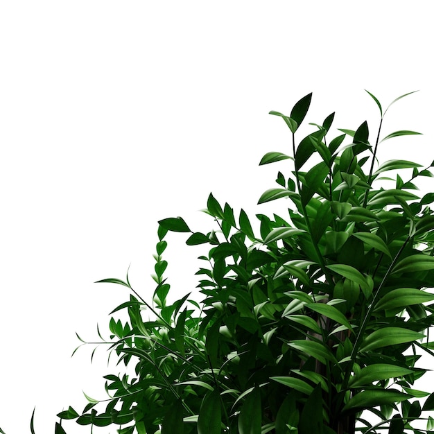 Groene planten veren blad op transparante plantenelementen