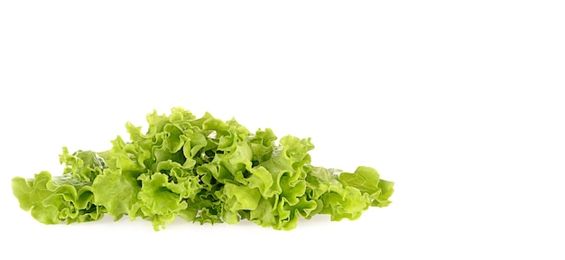 Groene salade geïsoleerd op wit