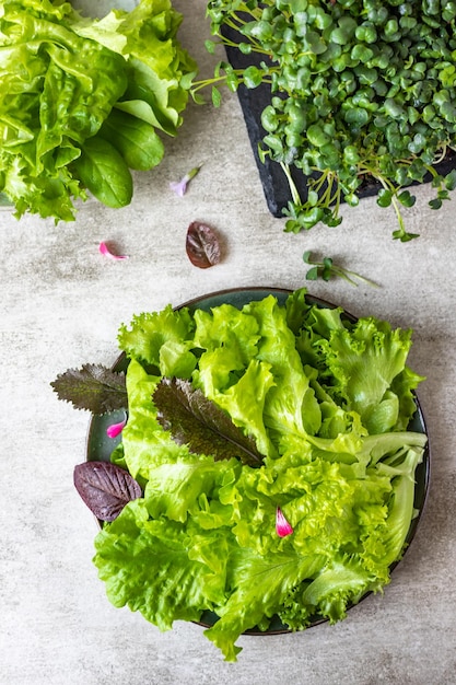 Groene salade gemaakt van groene bladeren mix en microgroen Raw food detox dieet concept Bovenaanzicht