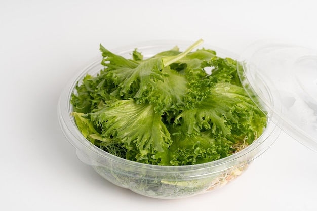 Groene salade met tarwe zaailingen en micro groenery Vegetarisch en dieet concept