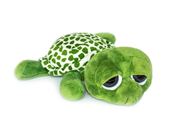 groene schildpad pluche geïsoleerd op wit