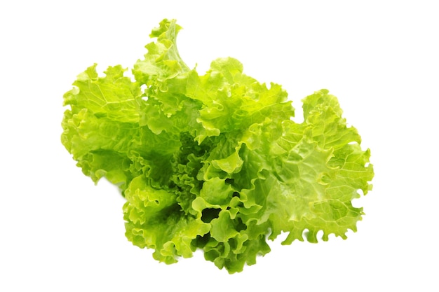 Groene sla bladeren geïsoleerd op een witte achtergrond