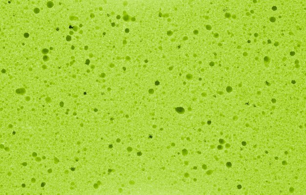 Groene spons textuur achtergrond
