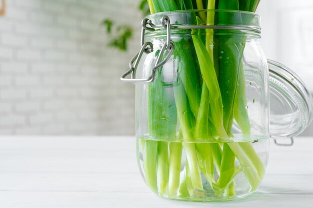 Groene stengels van tulpen in een glazen vaas met water