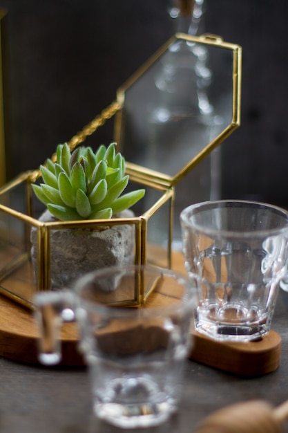 Groene succulent bovenop een houten bord