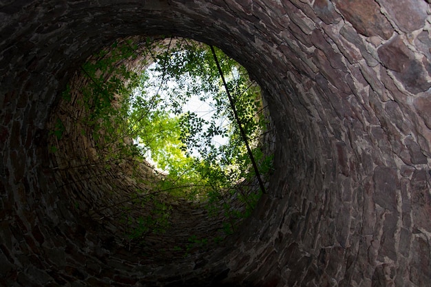 Groene takken die op de top van een stenen toren groeien, zien eruit als een kleine planeet