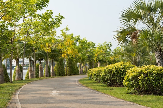 Groene tuin met trimbaan in het park, Comfort-zone voor beweging en ontspanning op gr