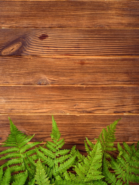 Groene varenbladeren op bruine eiken houtachtergrond met exemplaarruimte