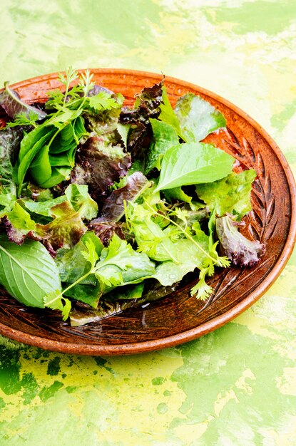 Groene veganistische salade