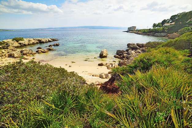 Groene vegetatie en blauwe zee op Sardinië, Italië