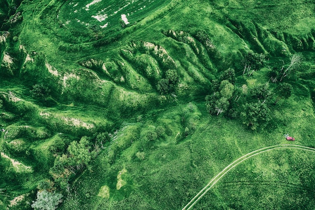 Groene velden van bovenaf