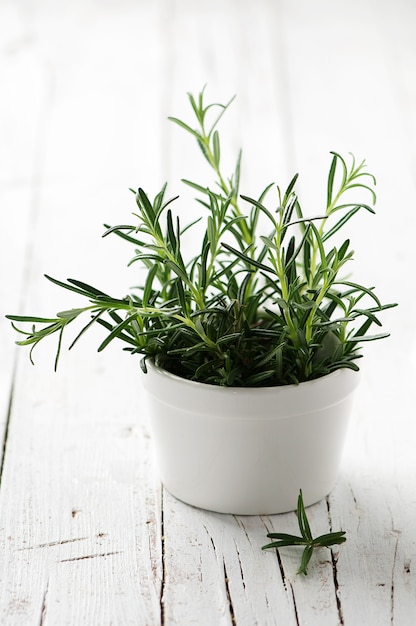 Groene verse rozemarijn op de houten tafel