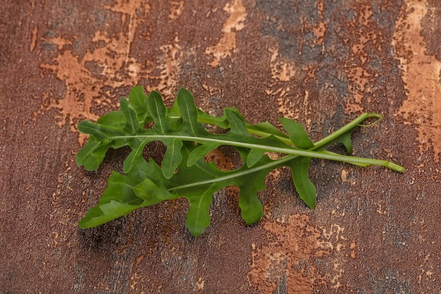 Groene verse rucolablaadjes