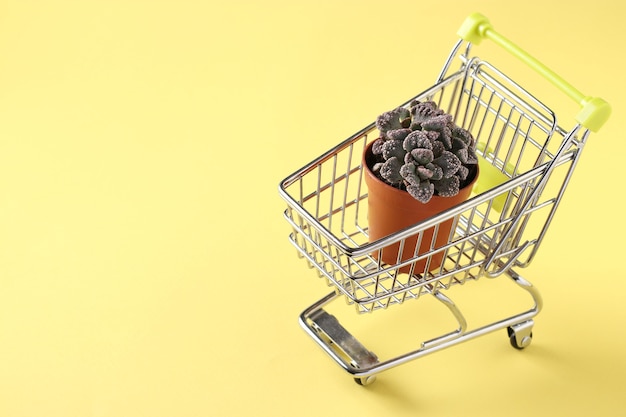 Groene vetplant titanopsis in trolley winkelen op gele achtergrond. ruimte voor tekst