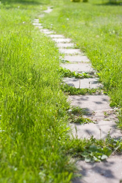 Groene, weelderige laag met bochtpad van bakstenen