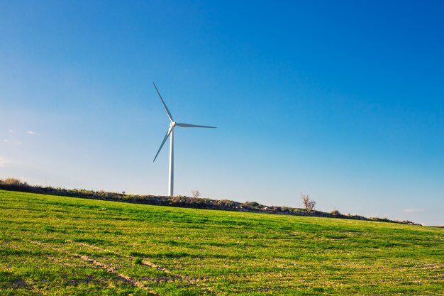 Groene weide met windturbines die elektriciteit opwekken.